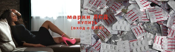 ГАЛЛЮЦИНОГЕННЫЕ ГРИБЫ Абаза