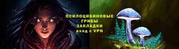 ГАЛЛЮЦИНОГЕННЫЕ ГРИБЫ Абаза