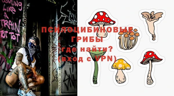 индика Абдулино