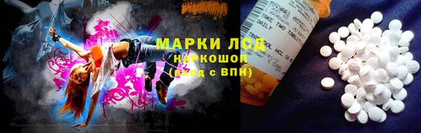 ALPHA PVP Новозыбков