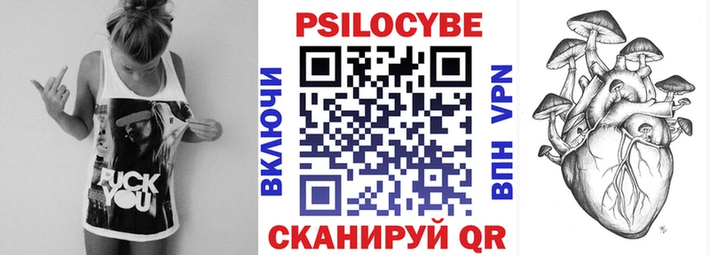 Галлюциногенные грибы Psilocybine cubensis  Никольское 